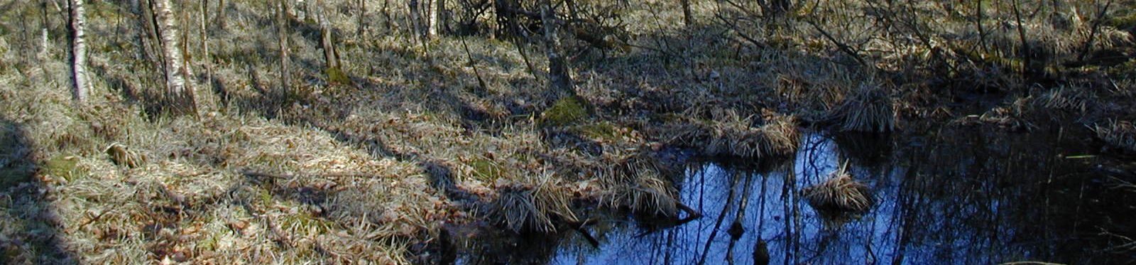Finsterer See (Höchberg) Finsterer See (Höchberg)